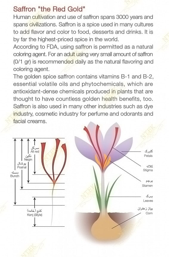saffron-ntek