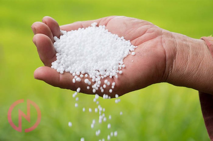 اوره چیست (2)